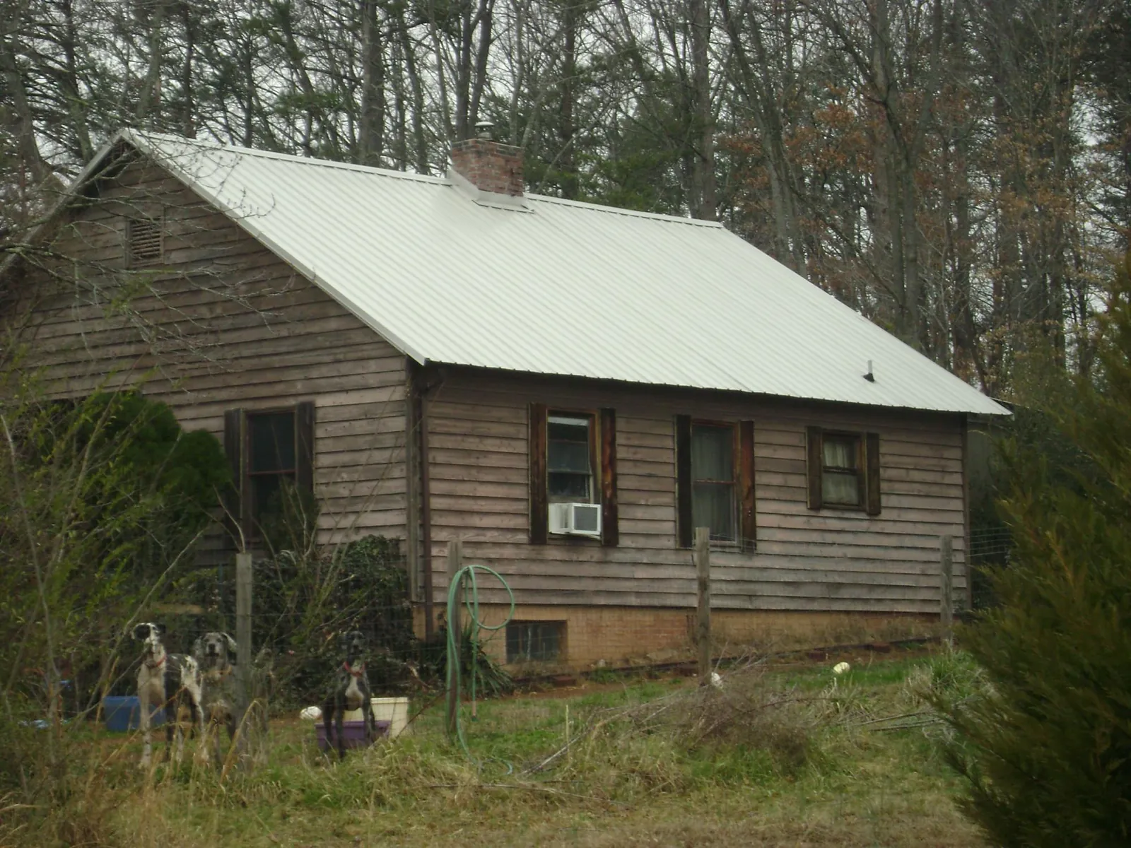 White metal roof on an old wood sided farmhouse, from a Metal Roof Installation job in Neihart